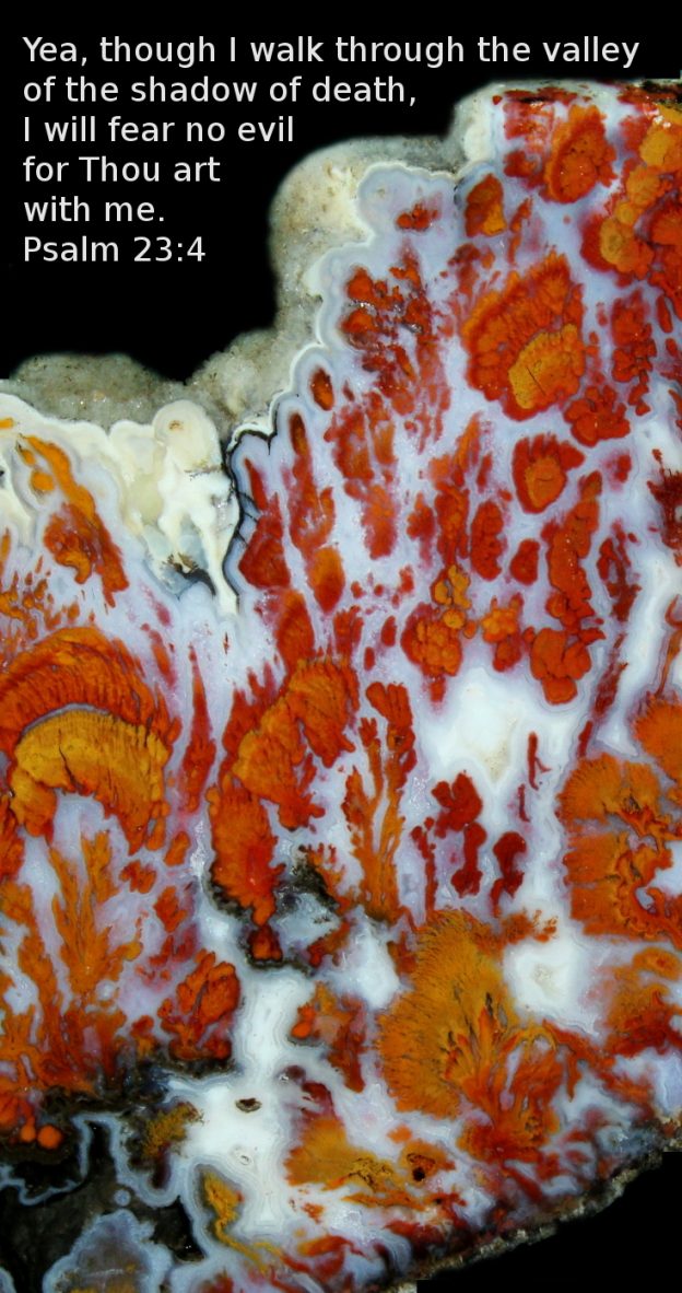 Great Death Valley plume agate