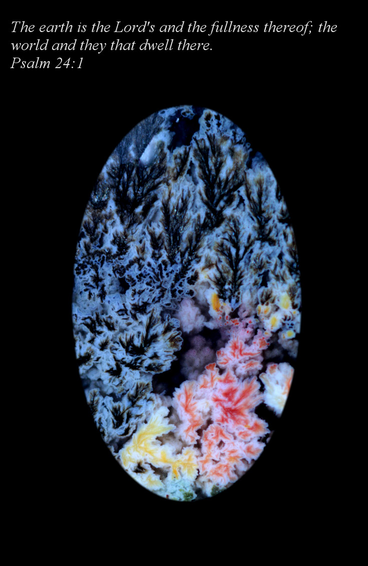 Priday Plume Agate macrophotograph