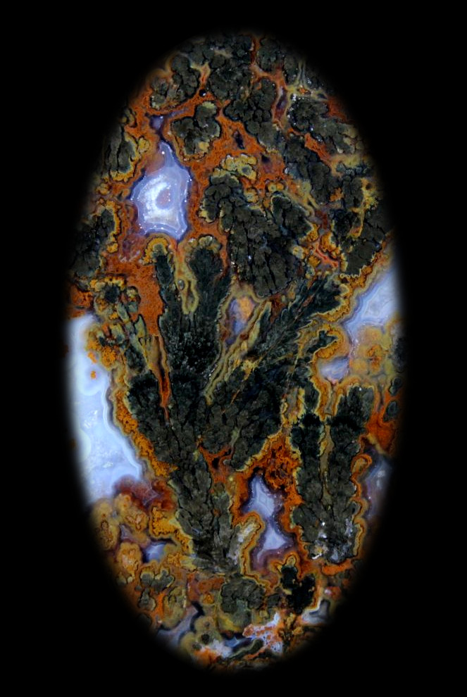 Photo of Black Plume Agate from west Texas