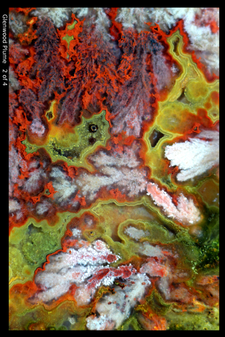 bright colored plume in macrophotograph of Glenwood, Utah, agate