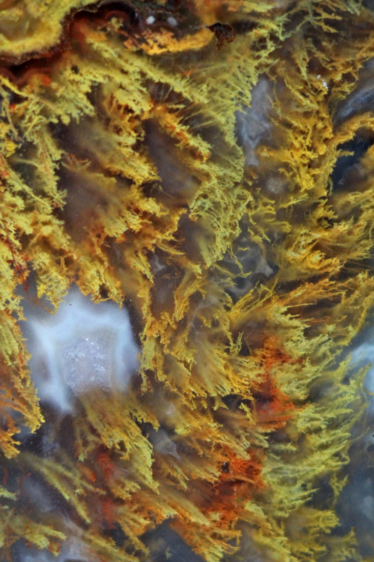 A striking moss agate close-up photograph.