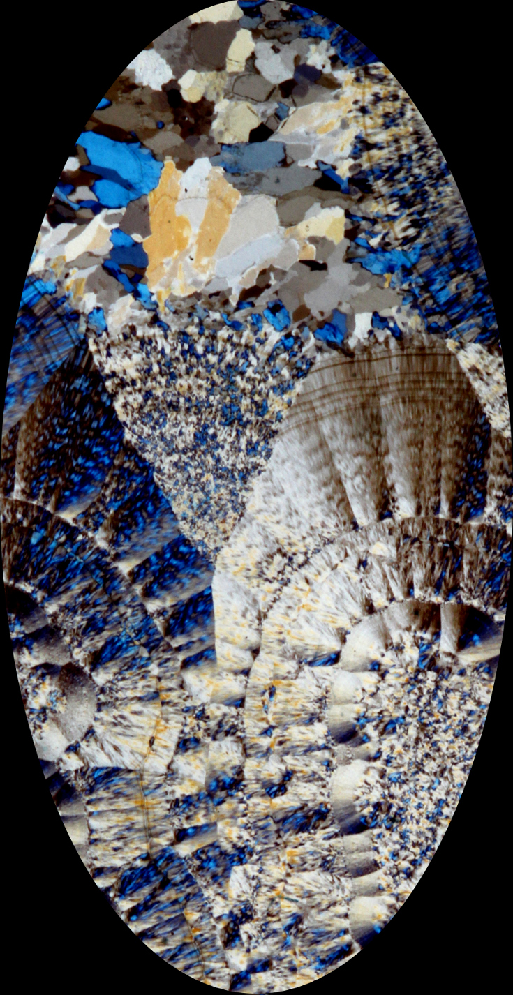 Thin section macrophoto of Nyssa plume agate