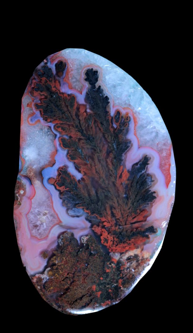 Rare large plume in Woodward ranch agate.